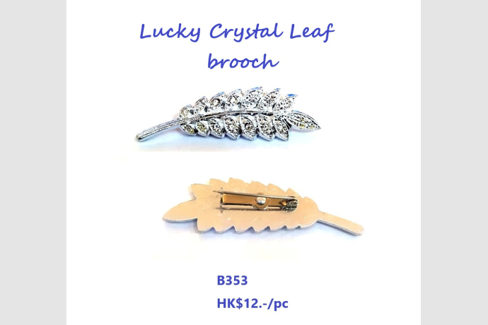 31 12 2024 brooche ok ok