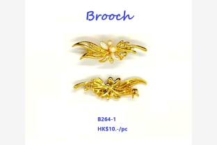 10 12 2024 brooch 001
