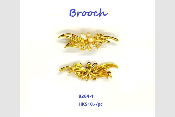 10 12 2024 brooch 001
