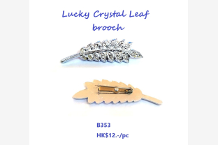 31 12 2024 brooche ok ok