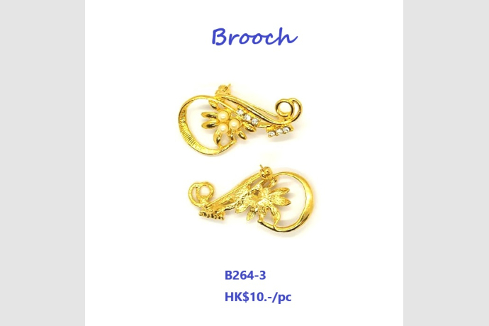 10 12 2024 brooch 002