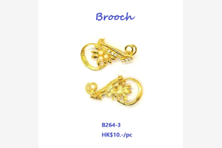 10 12 2024 brooch 002