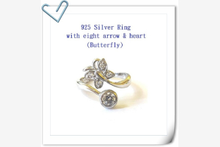 ig ring 01 b okok